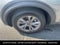 2023 Ford Explorer XLT LOCAL TRADE