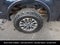 2019 Ford F-150 XLT LOCAL TRADE