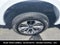 2019 Ford F-150 XL STX APPEARANCE PACKAGE