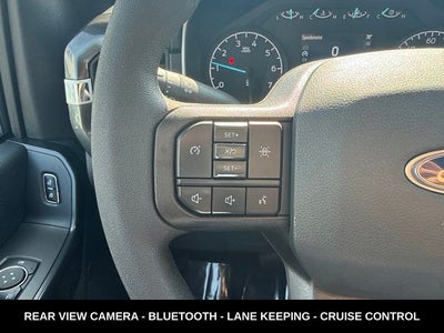 2023 Ford F-150 XL STX APPEARANCE PACKAGE