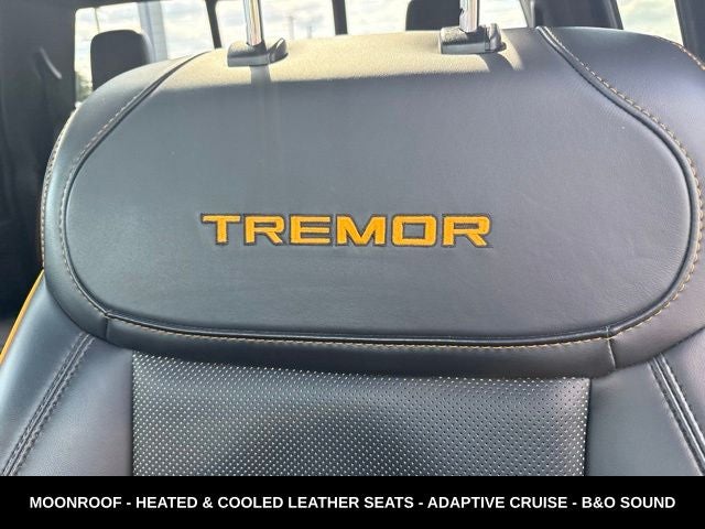 2023 Ford F-150 Tremor 5.0 V8