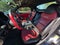 2007 Saturn Sky Red Line Convertible roof