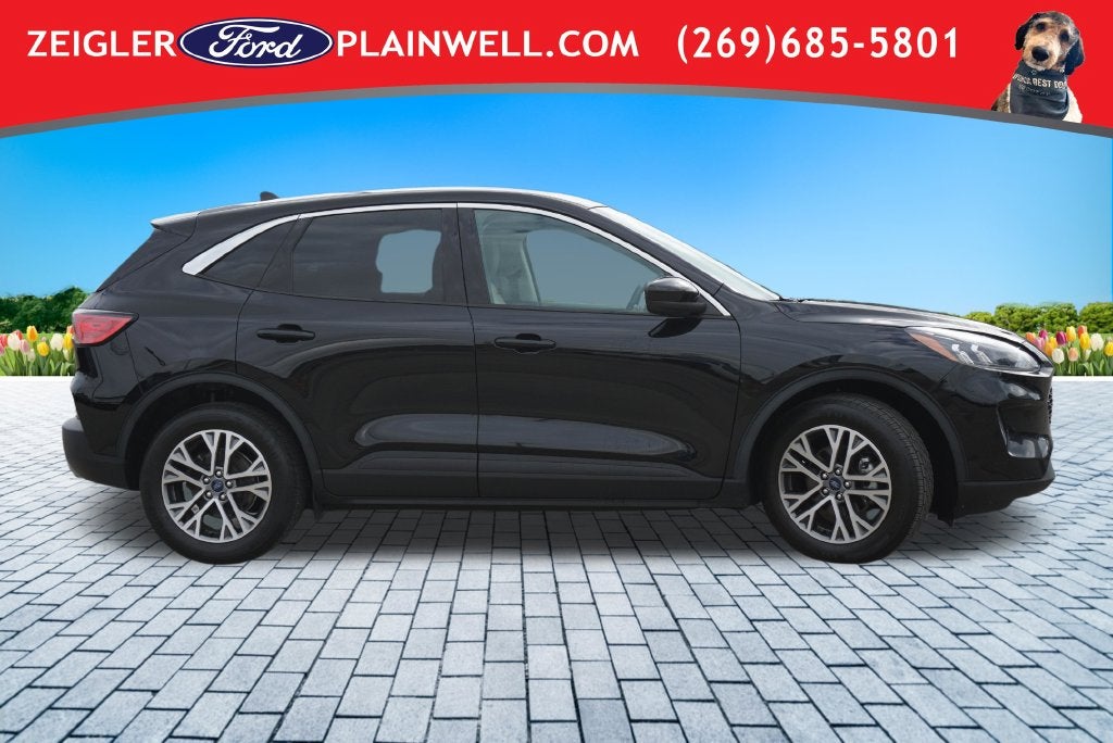 2022 Ford Escape Hybrid SEL